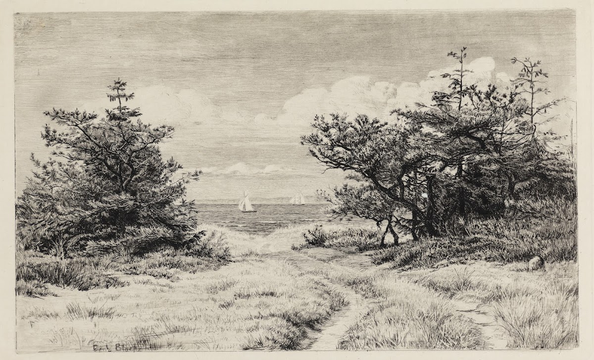 Udsigt til Havet 1887