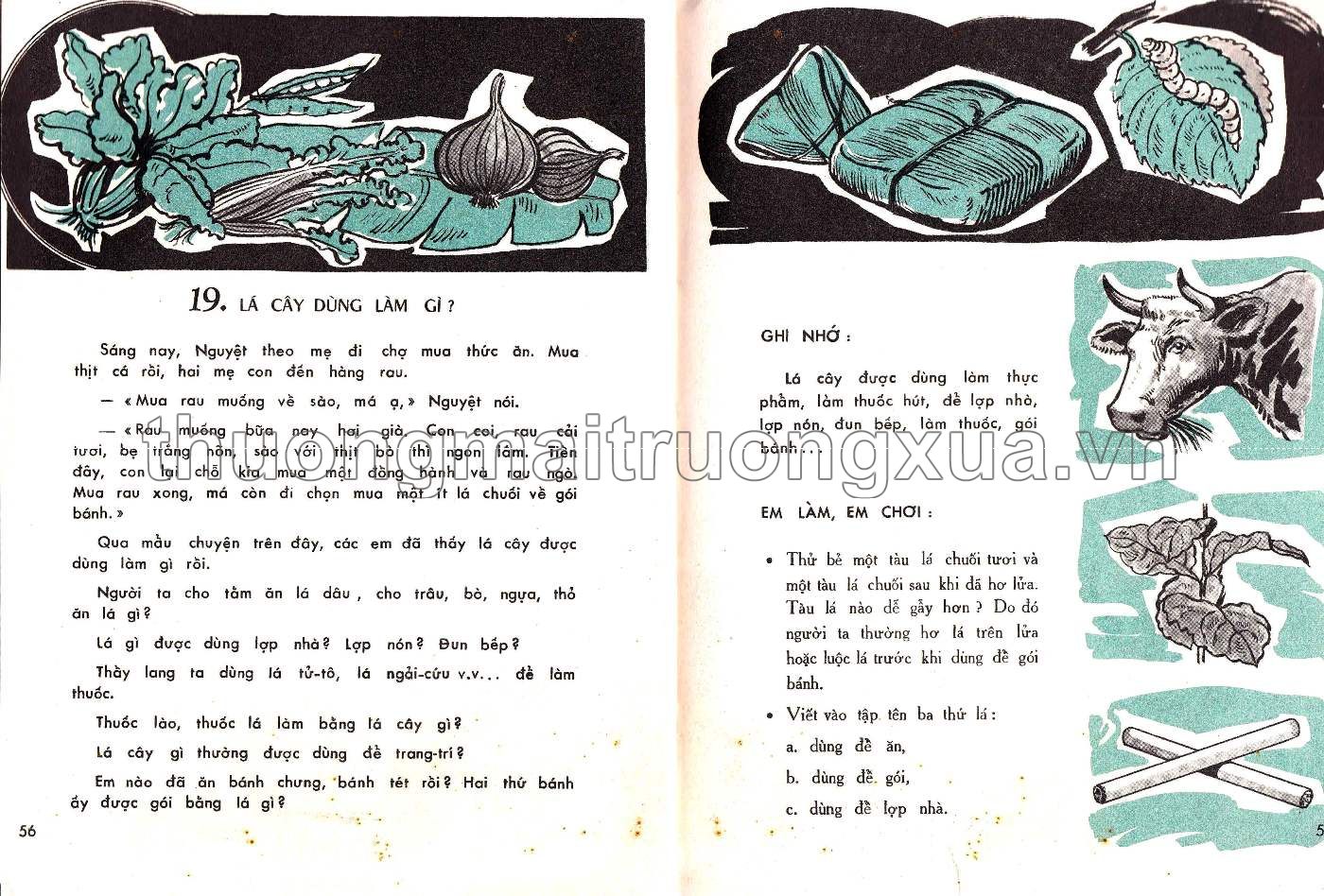 Em tìm hiểu khoa học lớp ba (1966) - Trang 29