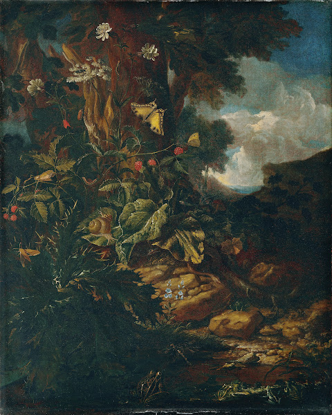 Landschaft mit Reptilien und Insekten 1730 740
