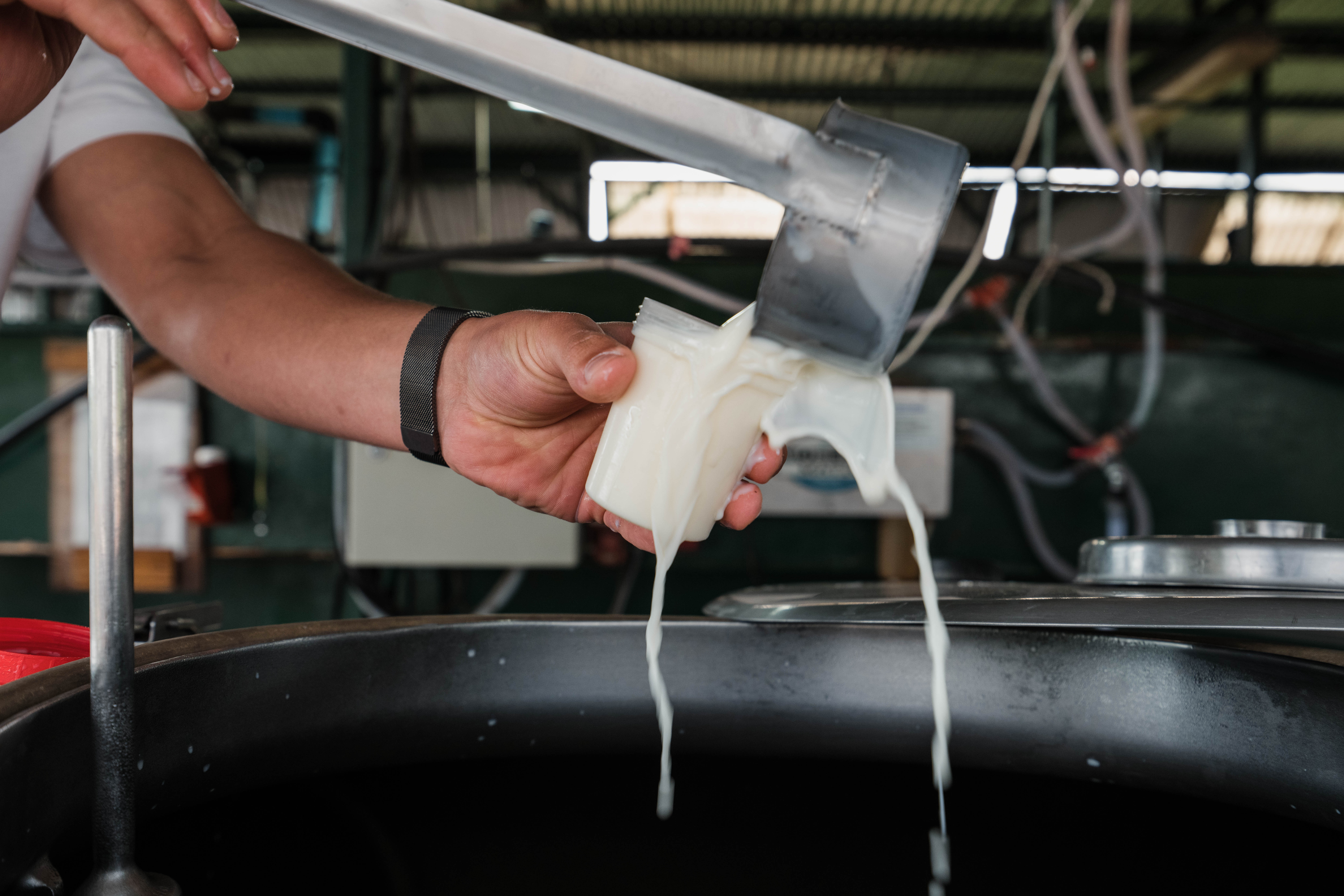 Leche recién ordeñada