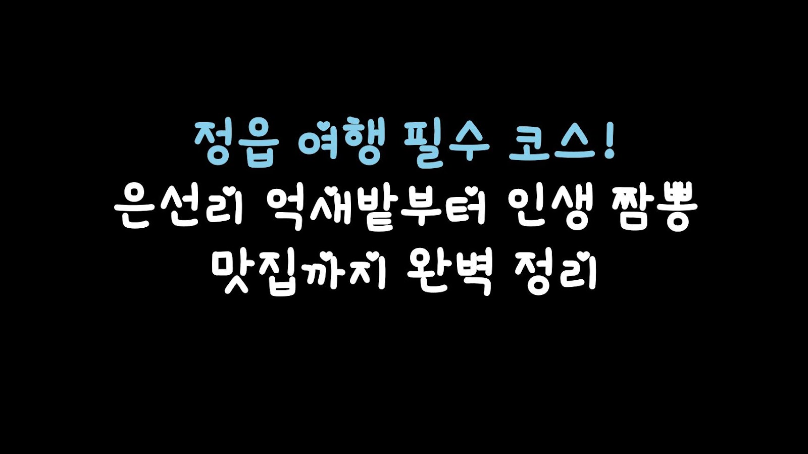 정읍 여행 필수 코스! 은선리 억새밭부터 인생 짬뽕 맛집까지 완벽 정리