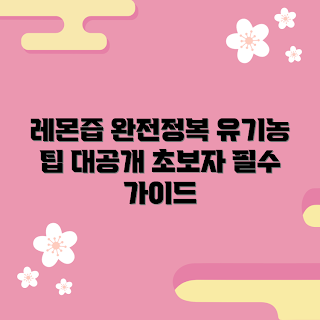 유기농레몬즙서울, 초보자를 위한 유기농 레몬즙, 유기농레몬즙 효과는 무엇인가, 어떻게 유기농레몬즙 선택할까, 유기농레몬즙 서울에서 구매하기