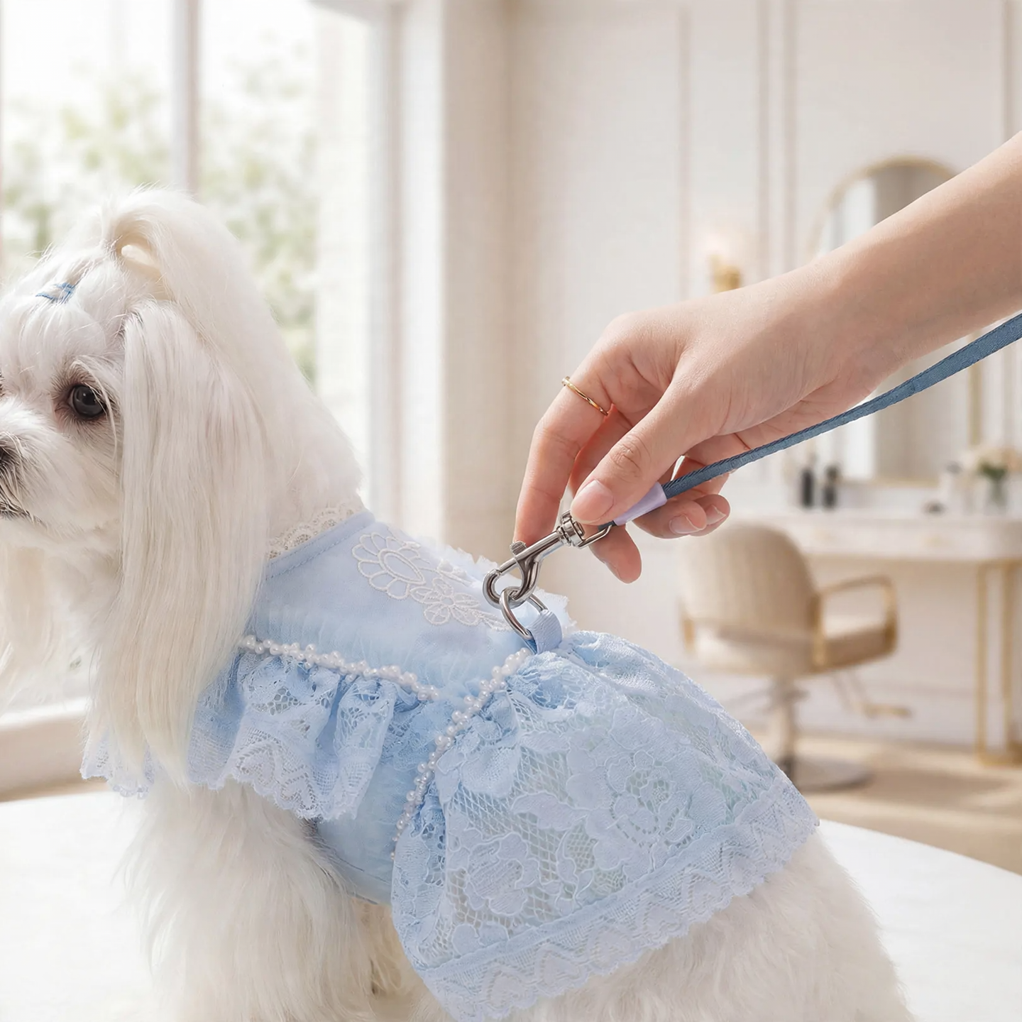 Prinzessin-Kleid für kleine Hunde, Sommer