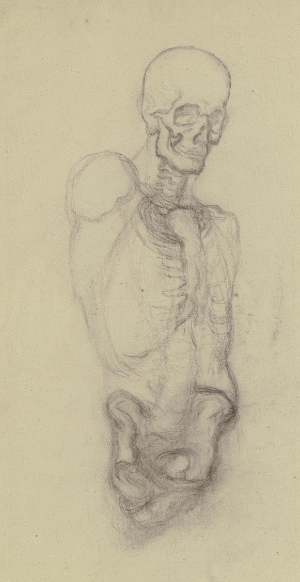 Skeletttorso mit Totenschädel