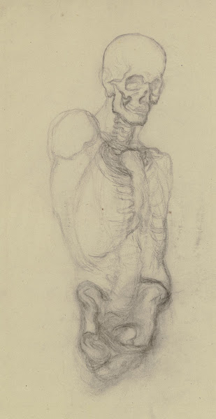 Skeletttorso mit Totenschädel