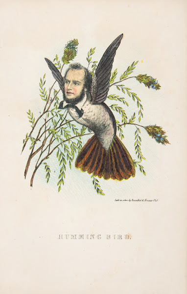 Humming Bird Thomas B Florence 1851