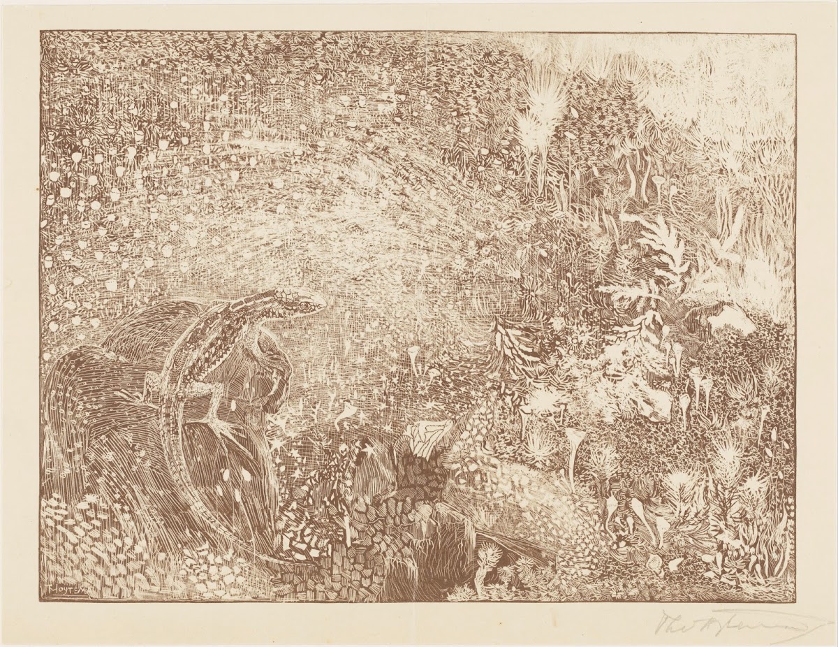Hagedis op een steen 1878   1914