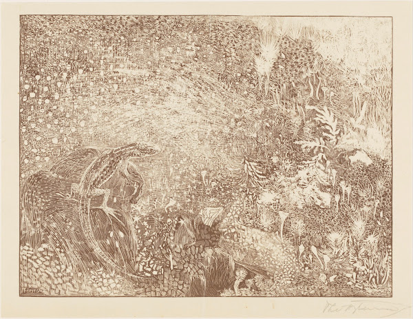 Hagedis op een steen 1878   1914