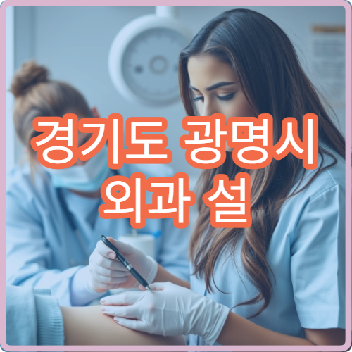 경기도 광명시 외과 설 명절 진료 병원 명절 응급 상처·통증 진료 병원 정보