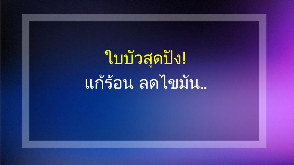 ใบบัวสุดปัง! แก้ร้อน ลดไขมัน บำรุงม้าม เห็นผลจริง