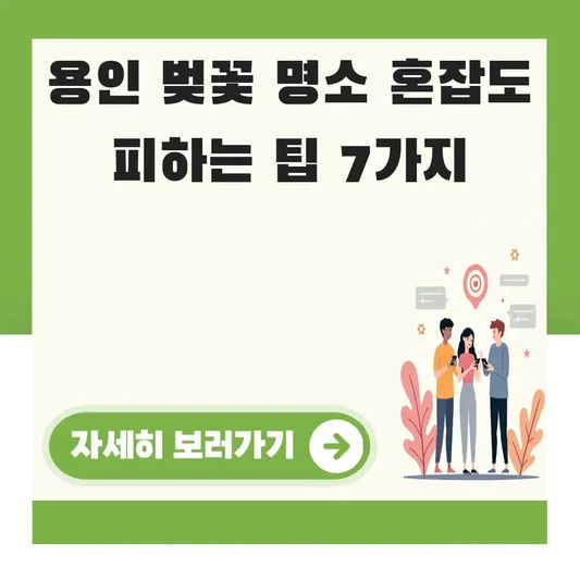 용인 벚꽃 명소 혼잡도 피하는 팁