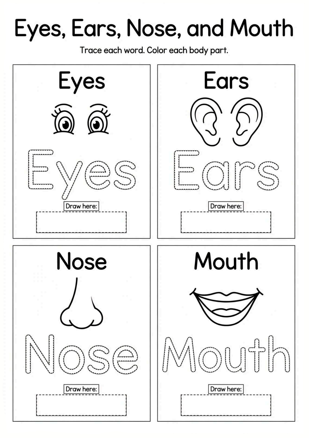 Eyes, Ears, Nose, and Mouth
