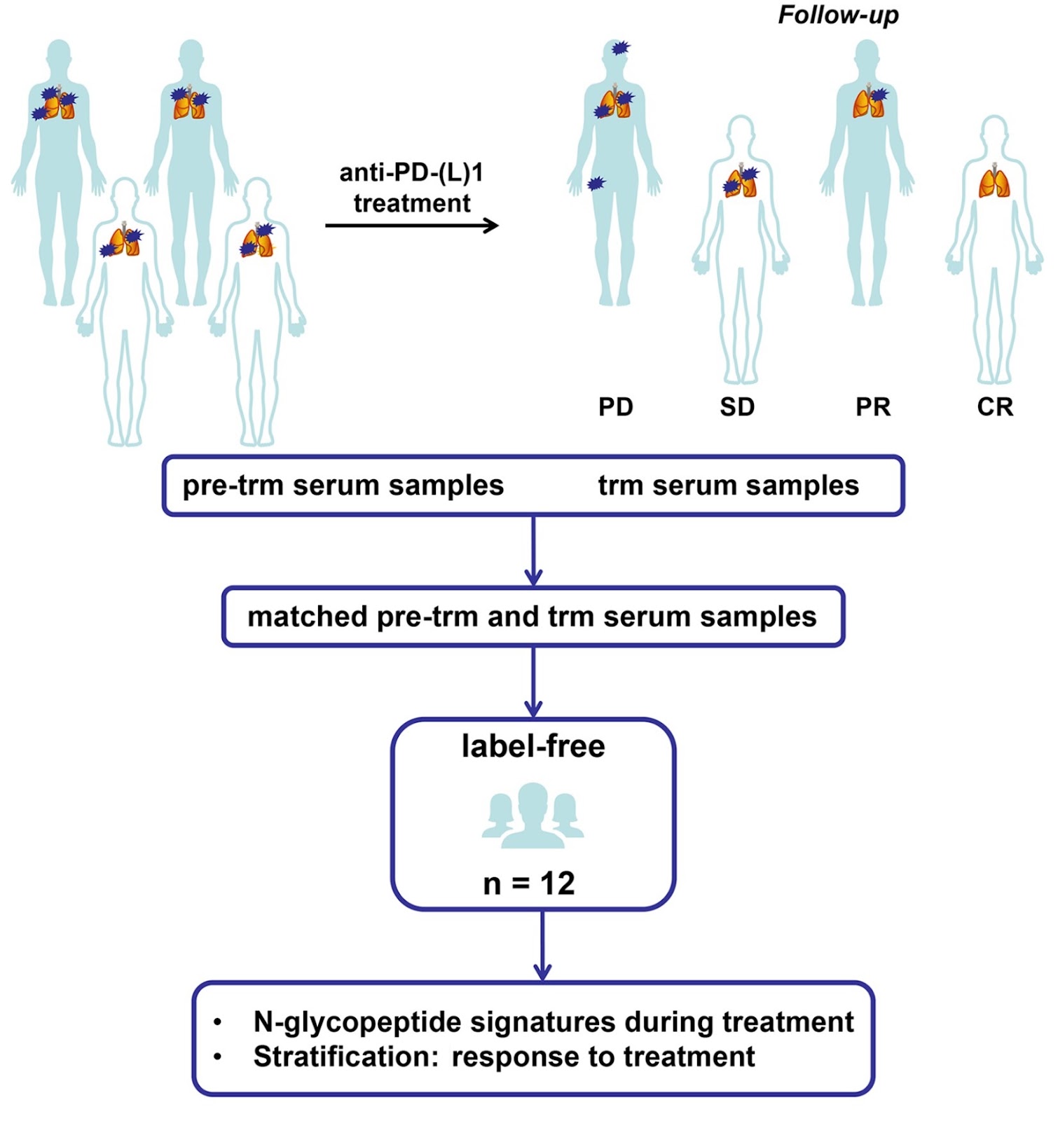 Glyco-signatures in patients with advanced lung cancer during anti-PD-1/PD-L1 immunotherapy