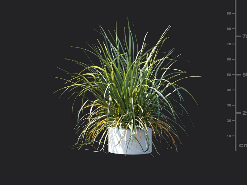 Maxtree - Plant Models Vol.115