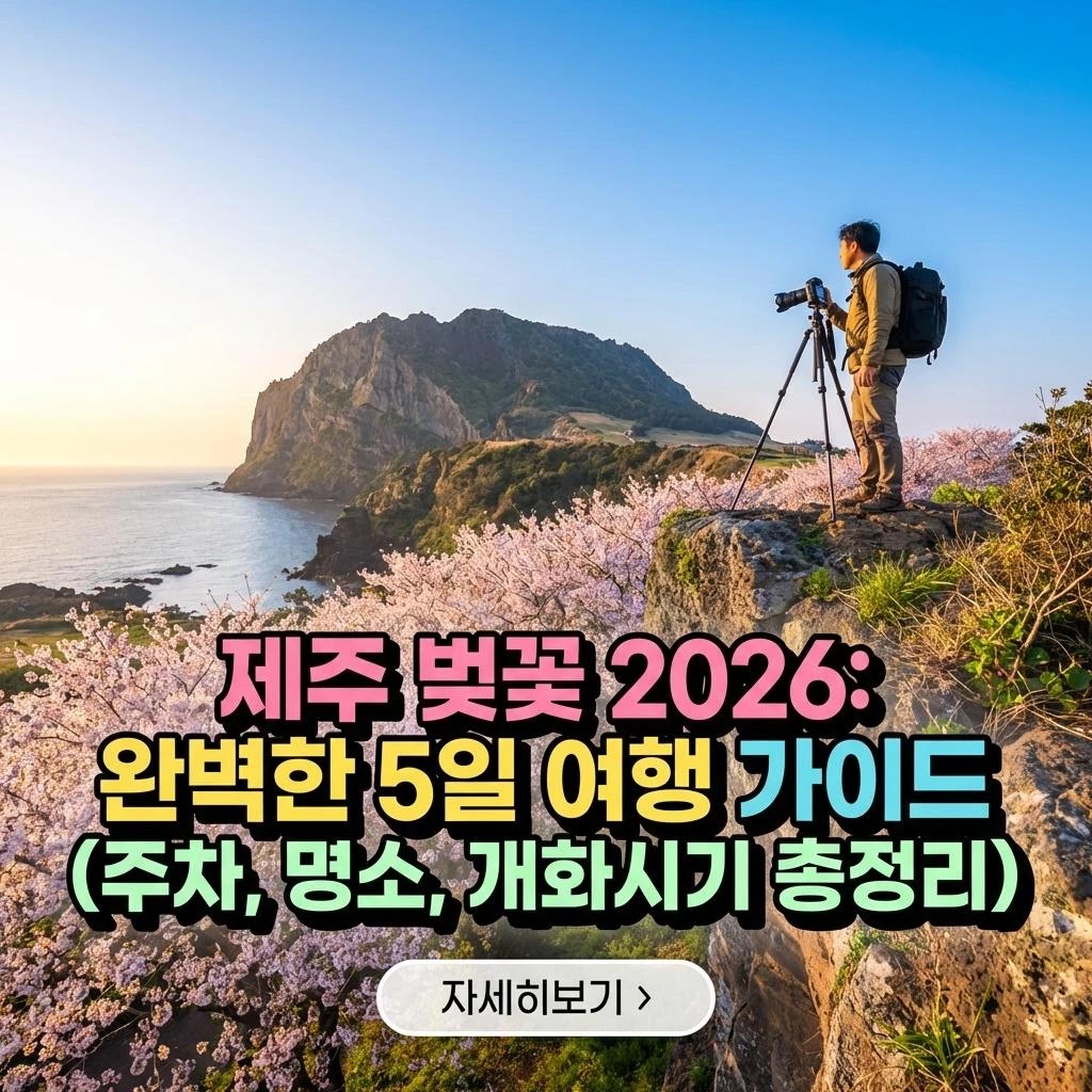 제주 벚꽃 2026: 완벽한 5일 여행 가이드