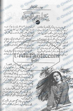 Ye Shadi Ho Kar Rahe Gi by Effit Seher Tahir Download PDF