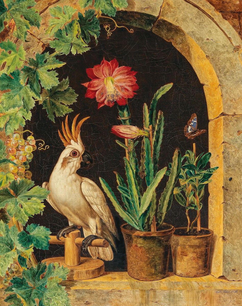 A Cockatoo at the Window with Blooming Cactus and Butterfly 1835