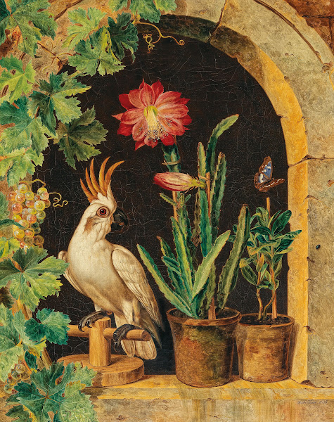 A Cockatoo at the Window with Blooming Cactus and Butterfly 1835