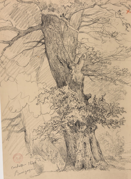 Étude darbre 1846