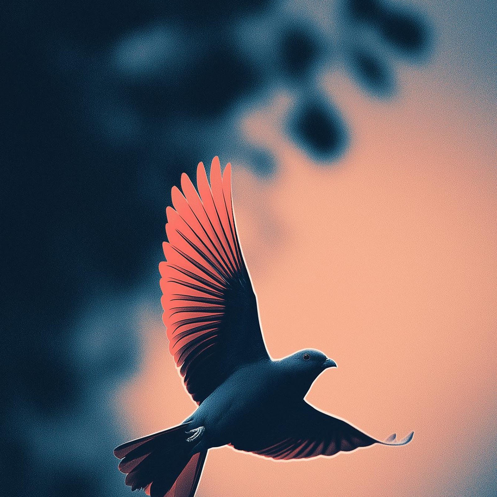 Download Bird Flying In The Sunset Full HD iPhone
