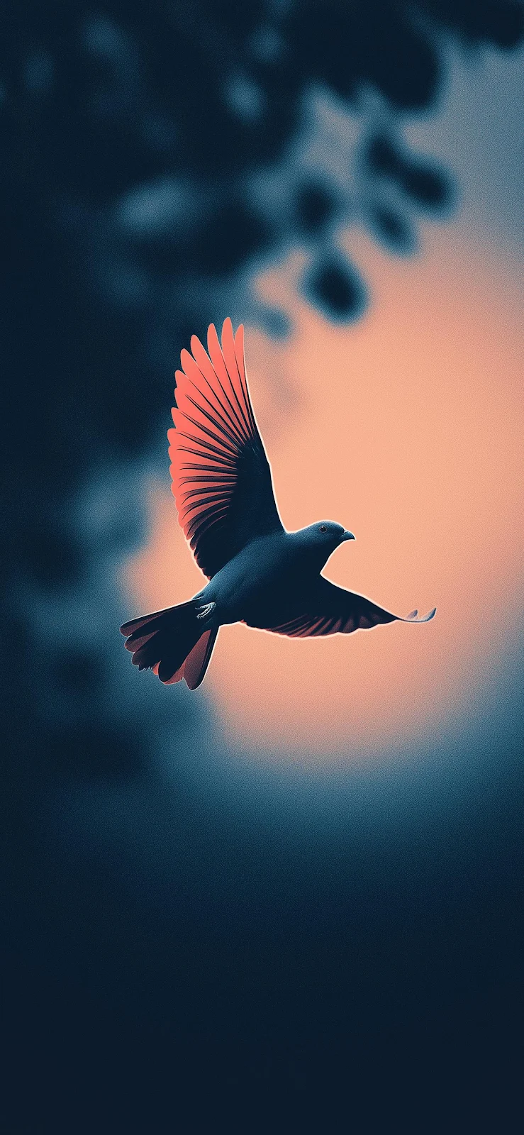 Bird Flying In The Sunset - Digital Art Full HD iPhone Wallpaper (1339x2900)