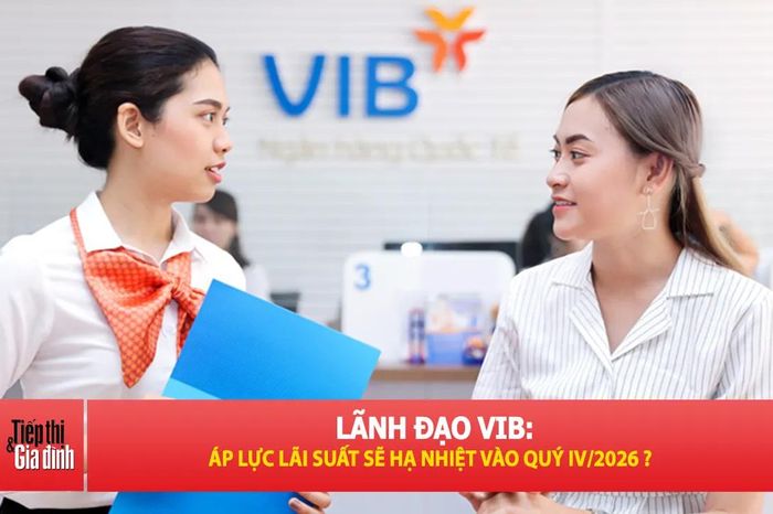 VIB nói gì trước làn sóng tăng lãi suất huy động? - Tiếp thị &amp; Gia đình