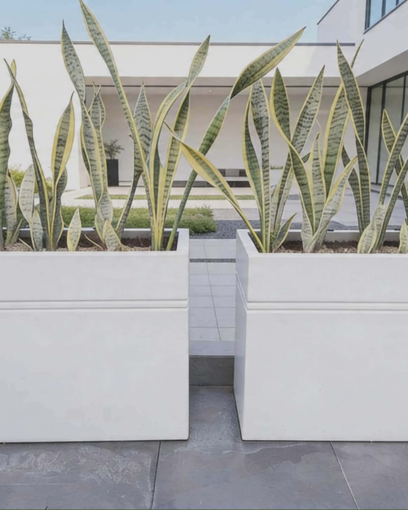 WMS concrete pot design 39