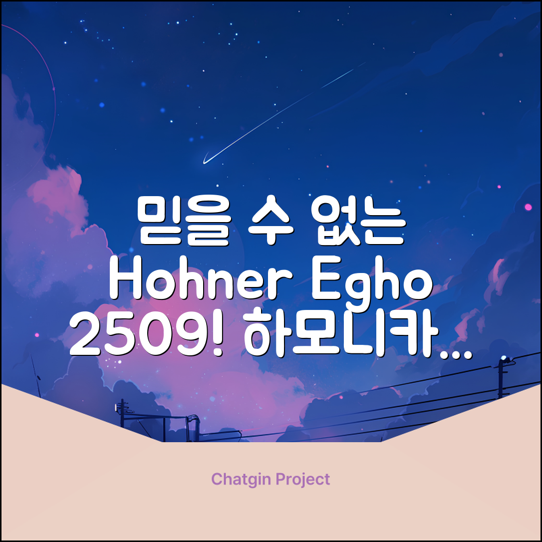 믿을 수 없는 호너 egho 하모니카 2509의 비밀!