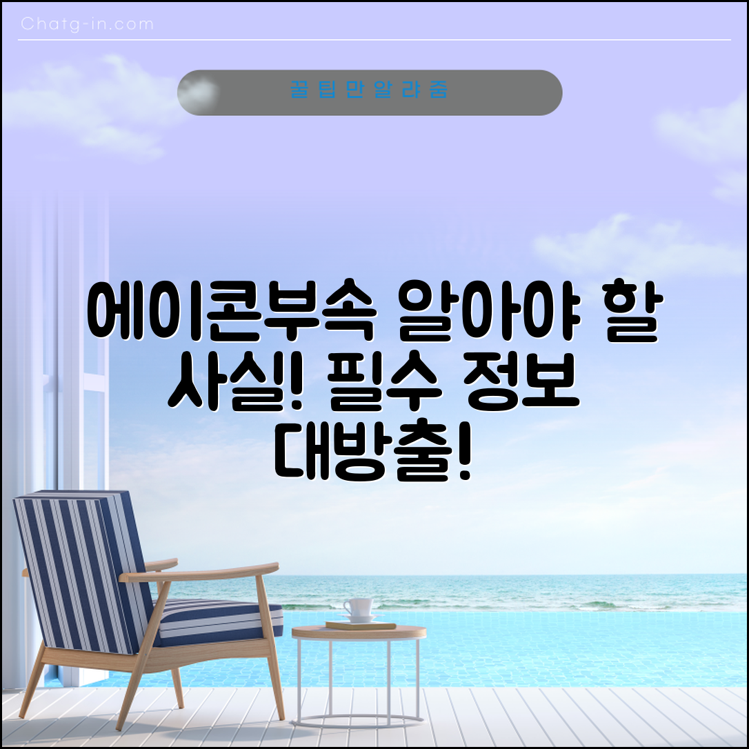 에이콘부속, 꼭 알아야 할 사실은?