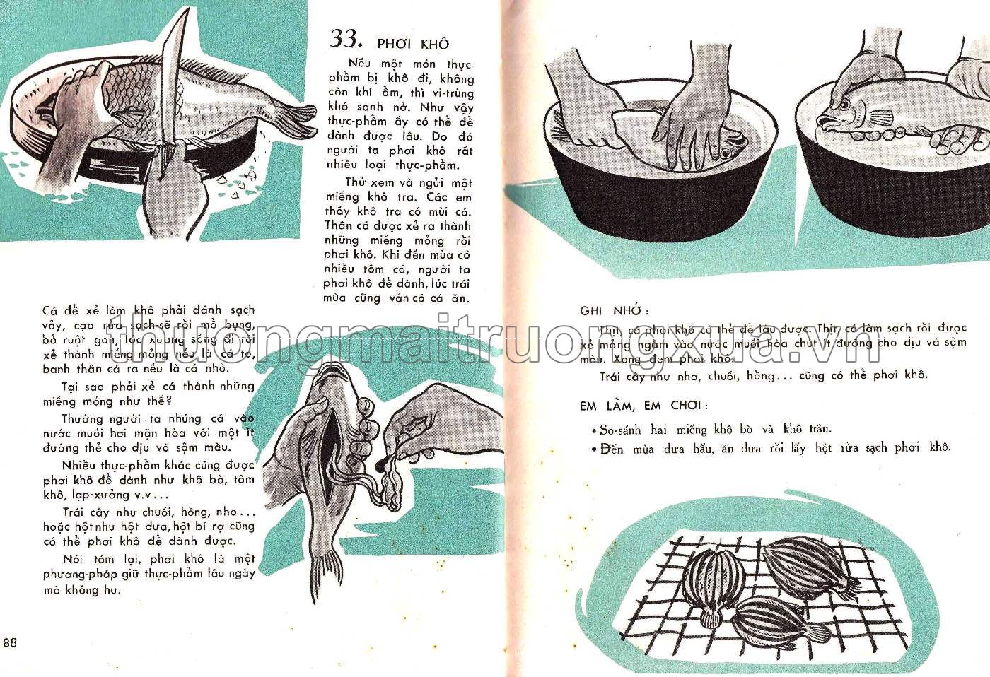 Em tìm hiểu khoa học lớp ba (1966) - Trang 45