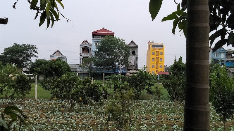 Ảnh 1