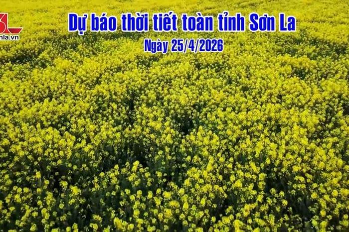 Dự báo thời tiết toàn tỉnh Sơn La ngày 25/4/2026 - Báo Sơn La