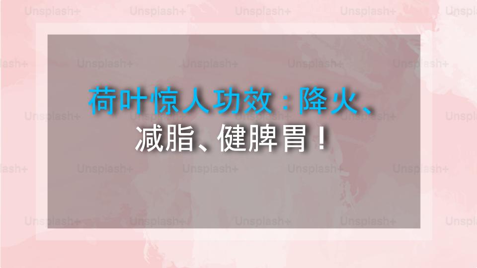 荷叶惊人功效：降火、减脂、健脾胃！