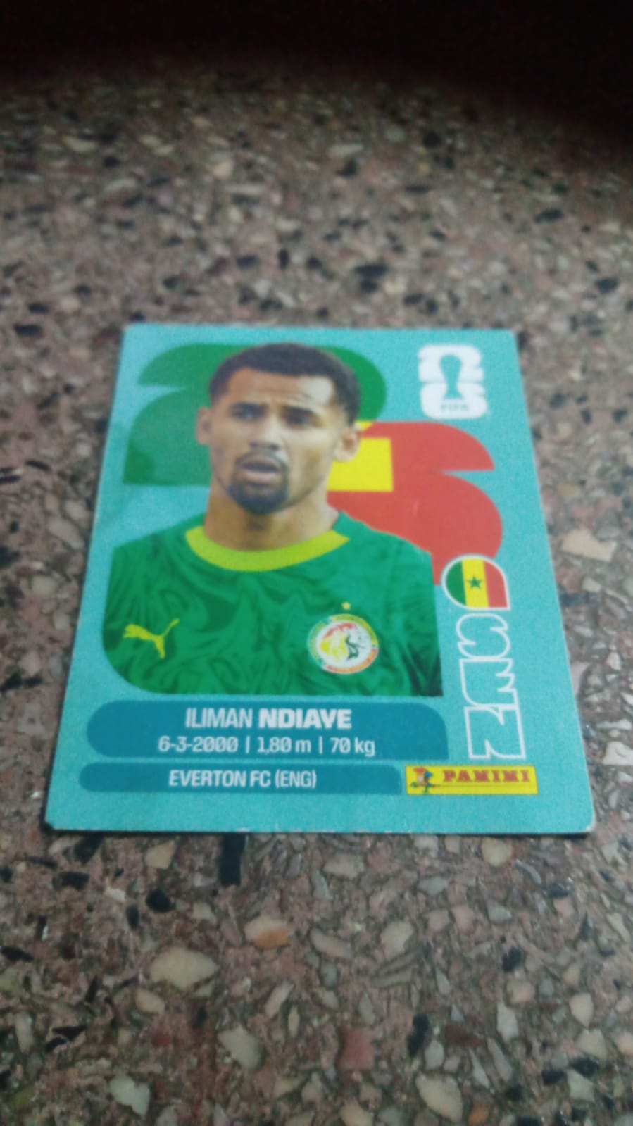 Ilman Ndiaye 