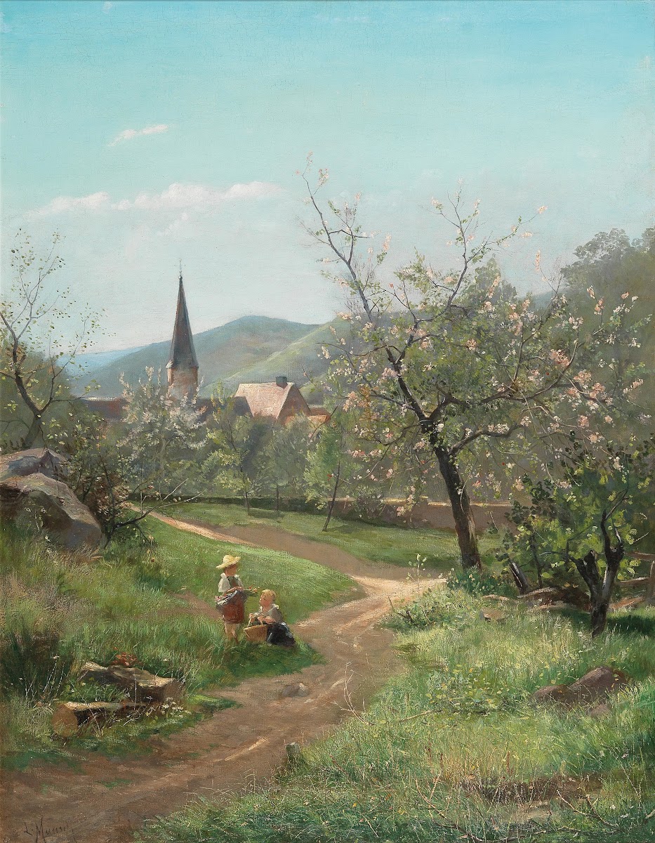 Marillenblüte