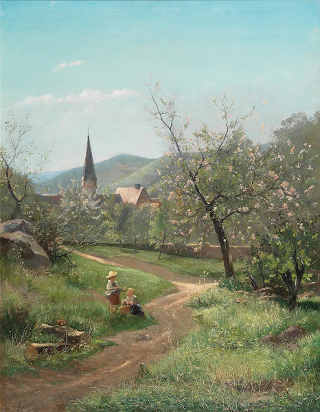 Marillenblüte