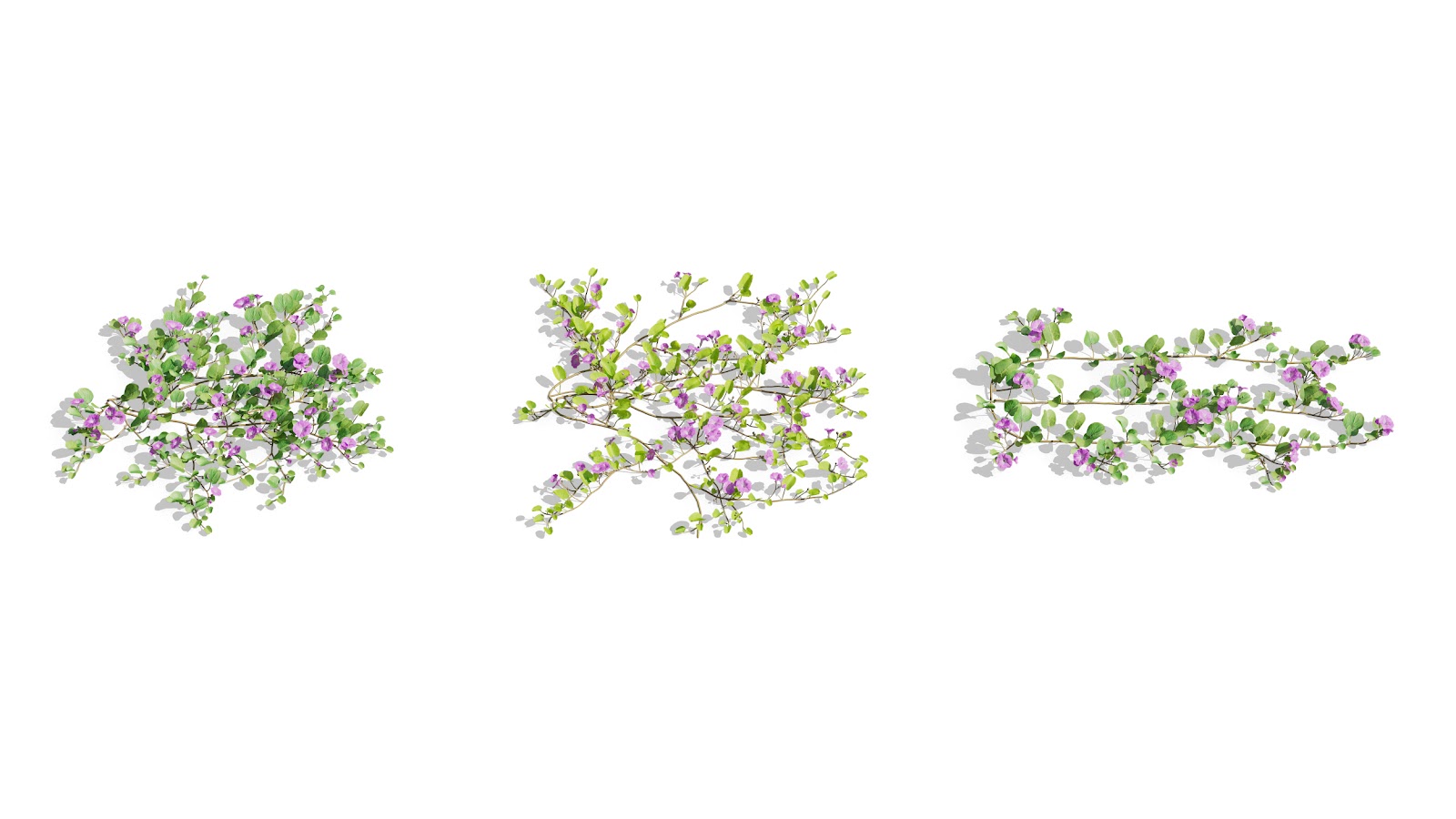 Maxtree - Plant Models Vol.73