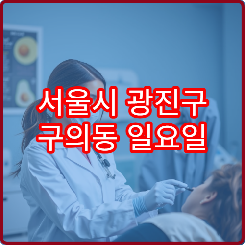 서울시 광진구 구의동 일요일 내과 진료 병원 안내 주말 내과 영업 병원 찾기