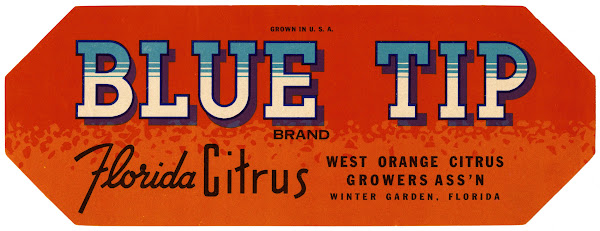 Blue Tip Brand Florida Citrus Label 1930 1950