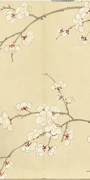Plum Blossom, Artwork, Kanji, Simple Background, Chinese 4K Wallpaper Background