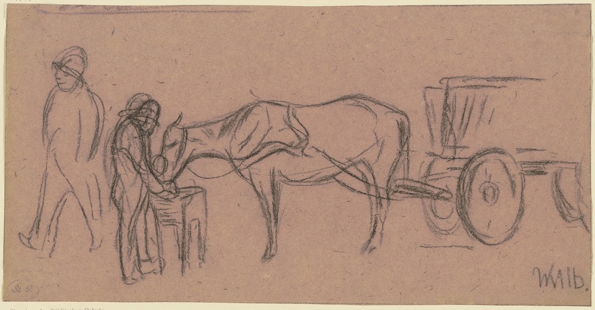 Grazing draught animal