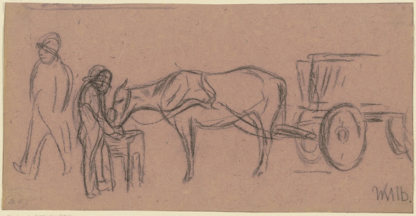 Grazing draught animal
