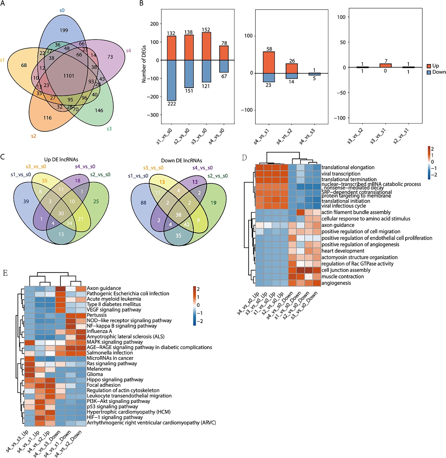 Dysregulated lncRNAs regulate human umbilical cord mesenchymal stem cell differentiation into insulin-producing cells by forming a regulatory network with mRNAs