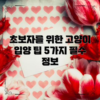 고양이입양방법, 초보자 팁, 고양이 입양 준비, 반려묘 선택, 입양자 가이드