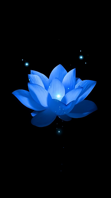 Glowing Blue Lotus Flower on Dark Background Art - Free mobile Wallpaper