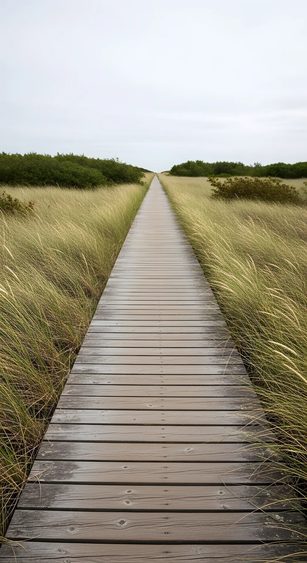 Straight Wooden Board Path Leading Through Grassy Dunes Under a Cloudy Sky - Free 4K mobile Wallpaper