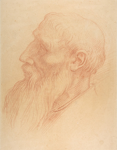 Head of a Man 18371911