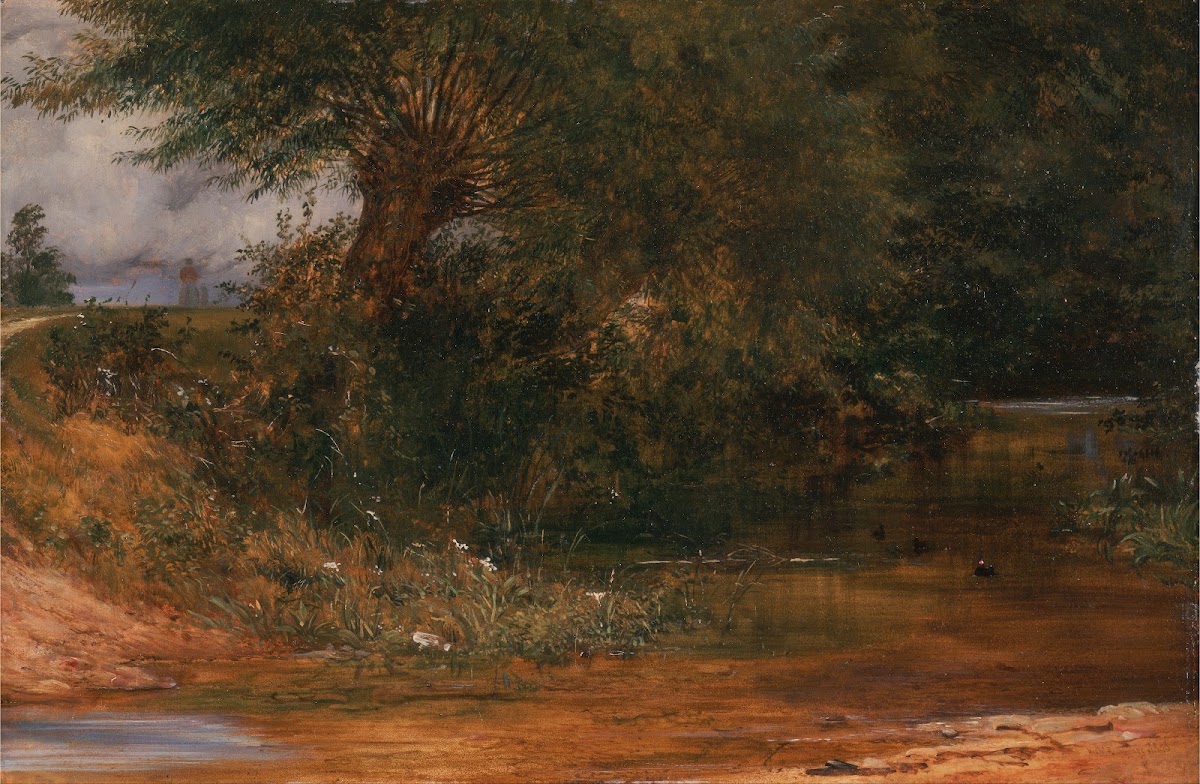 The Moorhens Haunt