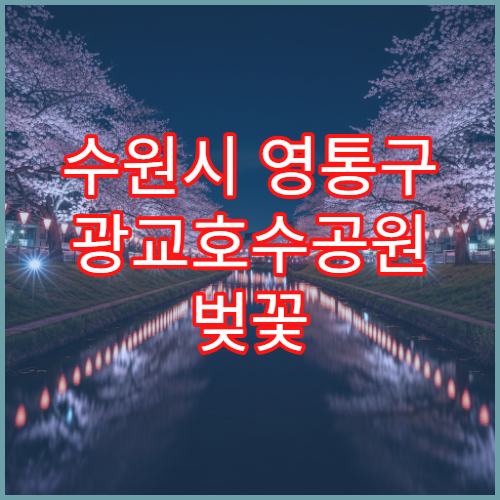 수원시 영통구 광교호수공원 벚꽃 개화 시기와 3월 사진 찍기 팁