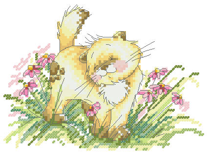 CMP P180 Stc Solo The Cat